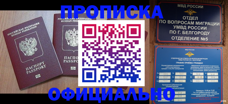 найти адрес прописки в Бородино