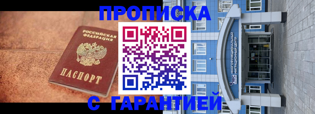 где прописаться в Бородино